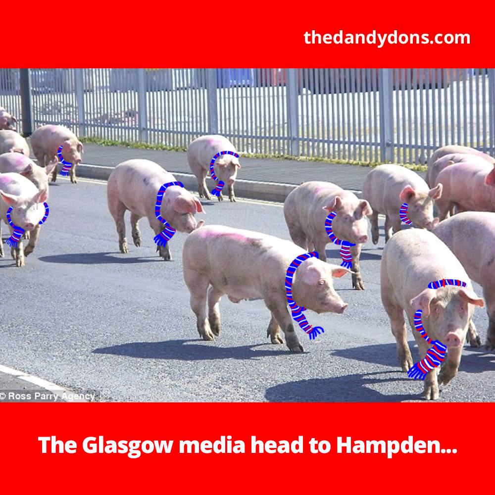 pigs hampden