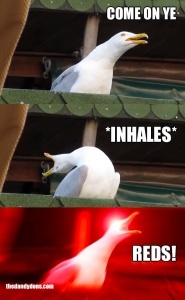 aberdeen-seagull